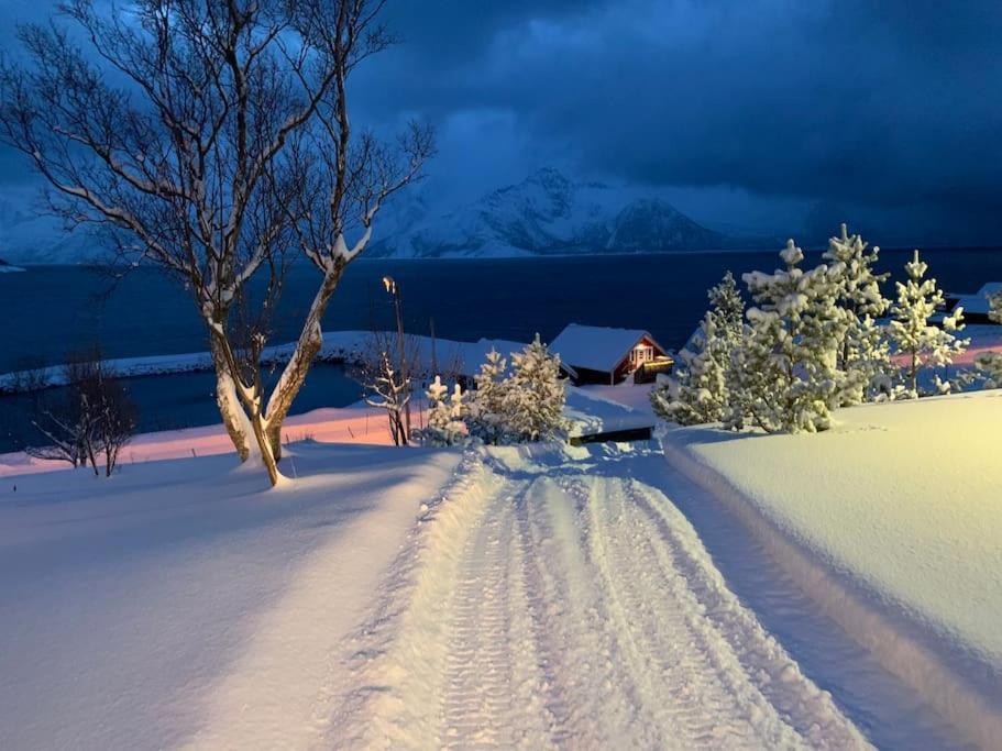 Leilighet I Rorbu Pa Kaldfarnes - Yttersia Senja Exterior foto
